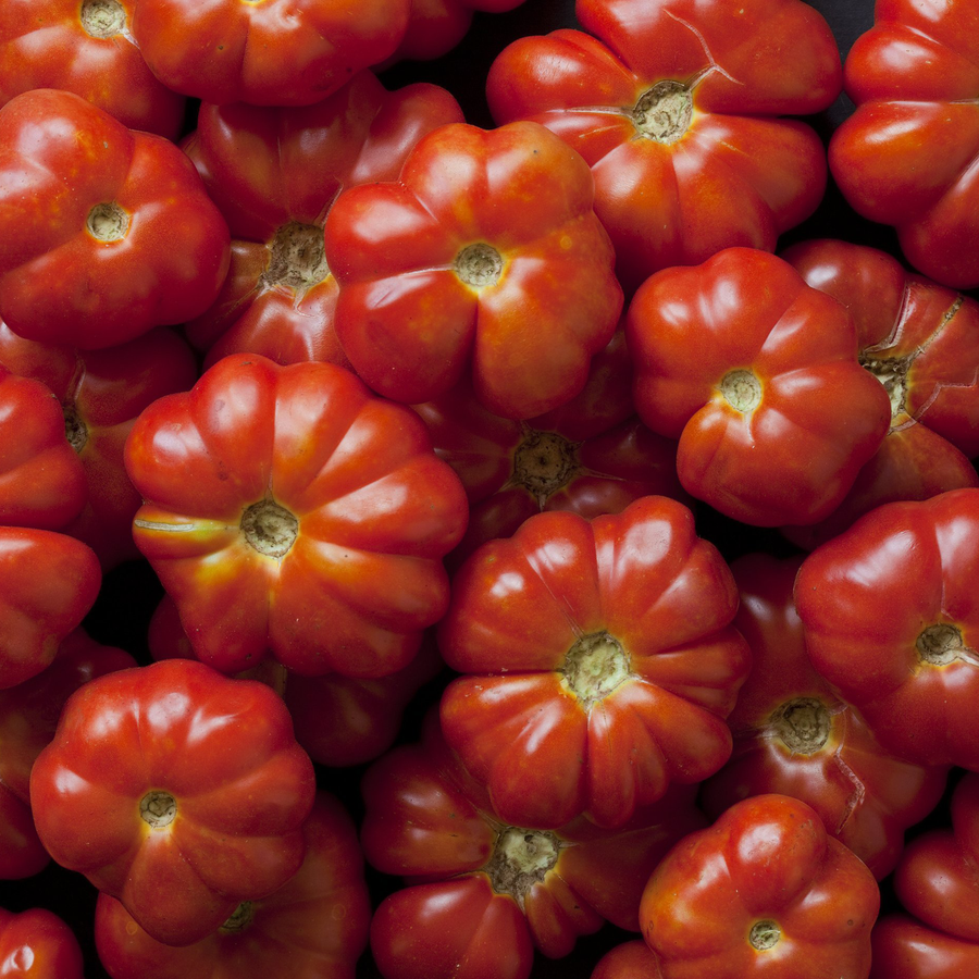 Costoluto Genovese Tomato Seeds (Solanum lycopersicum cv.)