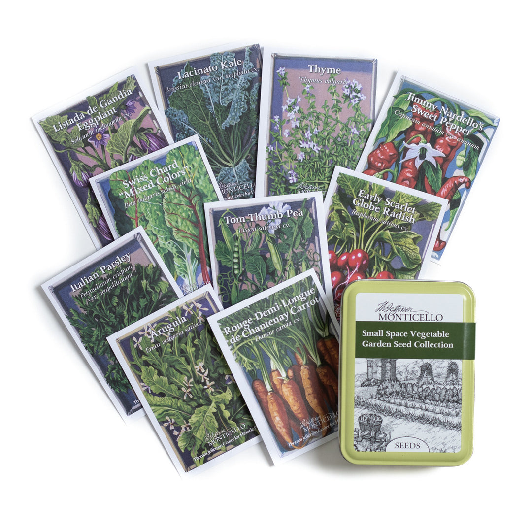 Small-Space Vegetable Garden Seed Collection