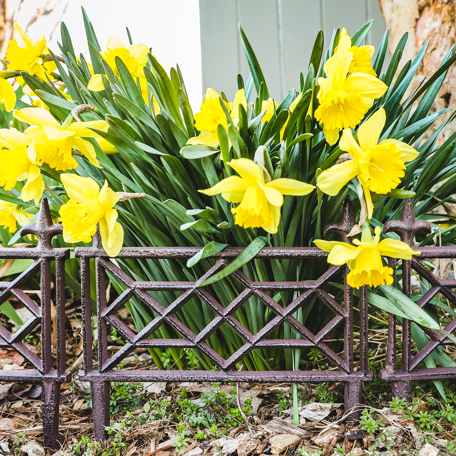 Chippendale Cast Iron Garden Fence